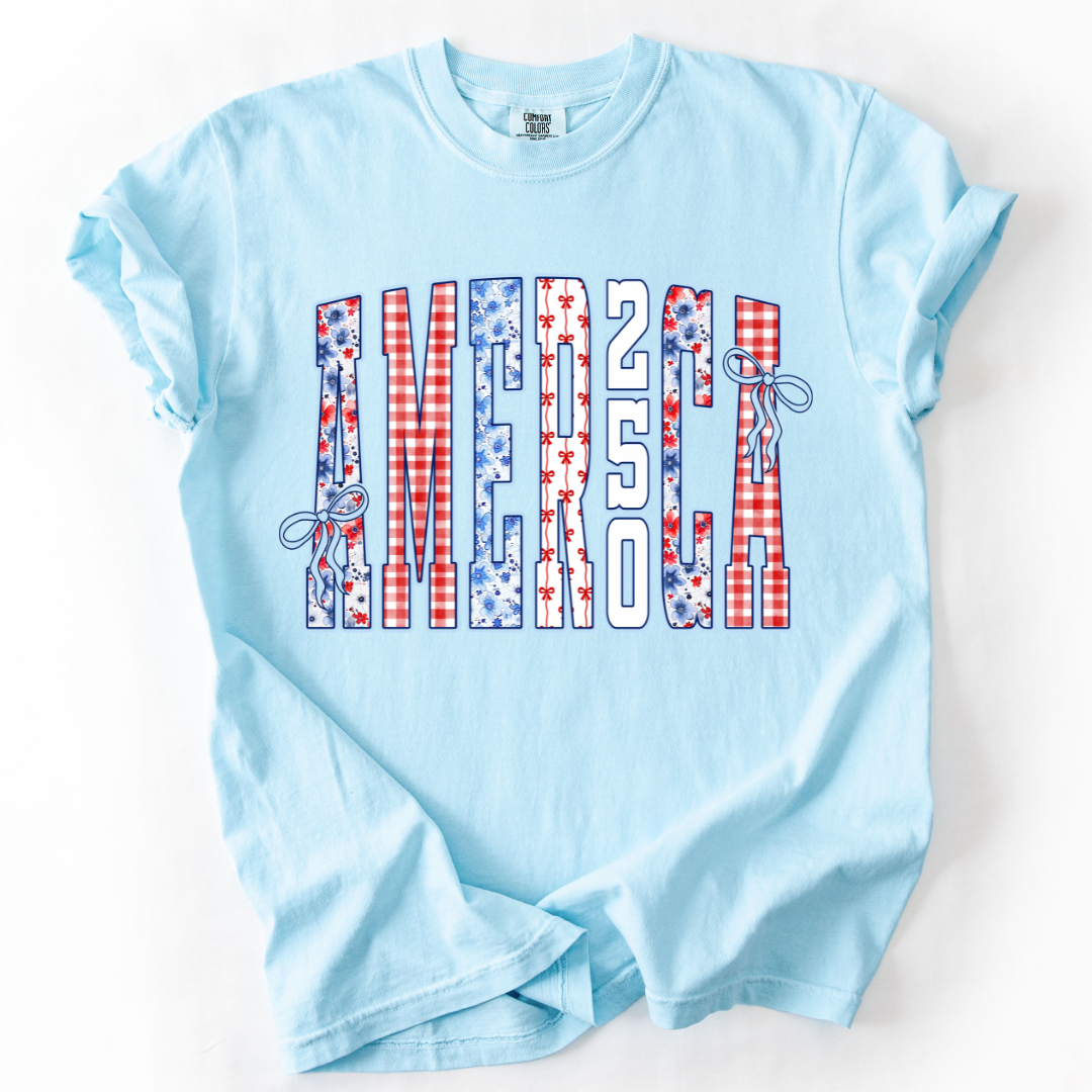 AMERICA 250 Celebration T-shirt