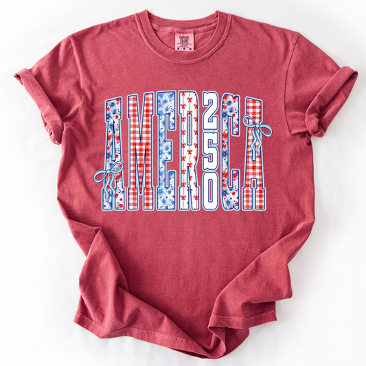 AMERICA 250 Celebration T-shirt