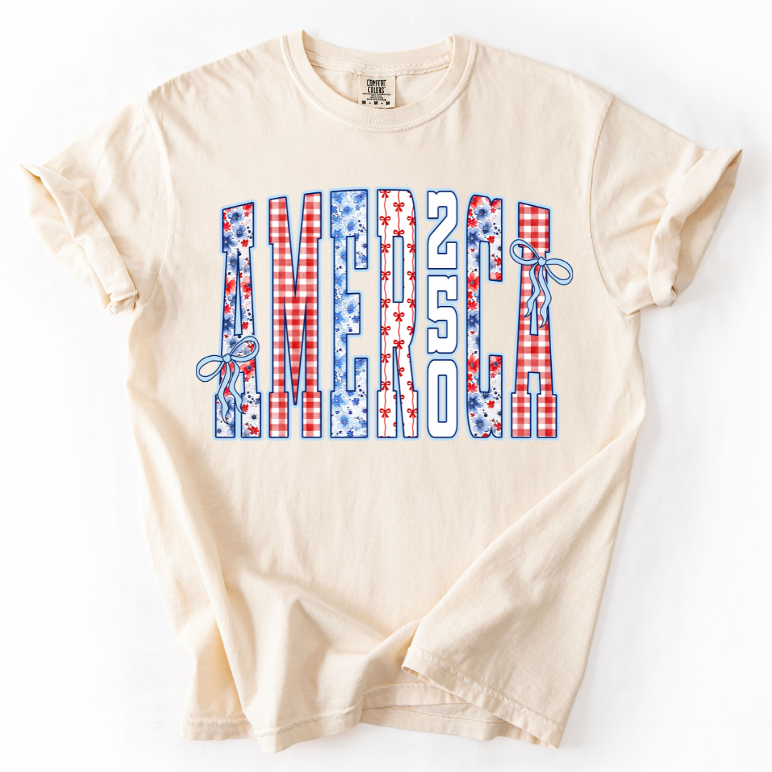AMERICA 250 Celebration T-shirt