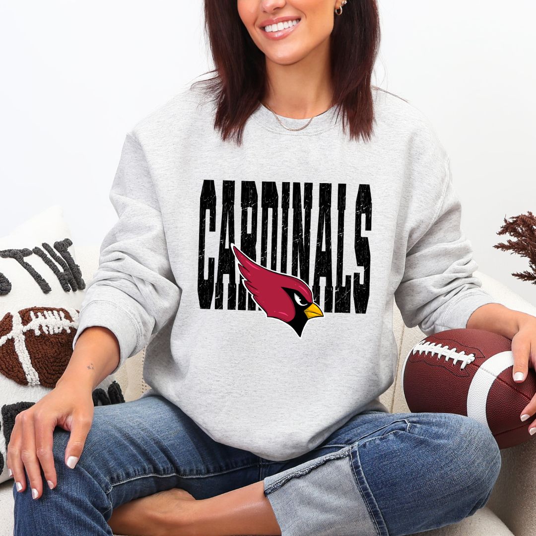 NFL Distressed Sweatshirt